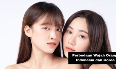 Perbedaan Wajah Orang Indonesia dan Korea