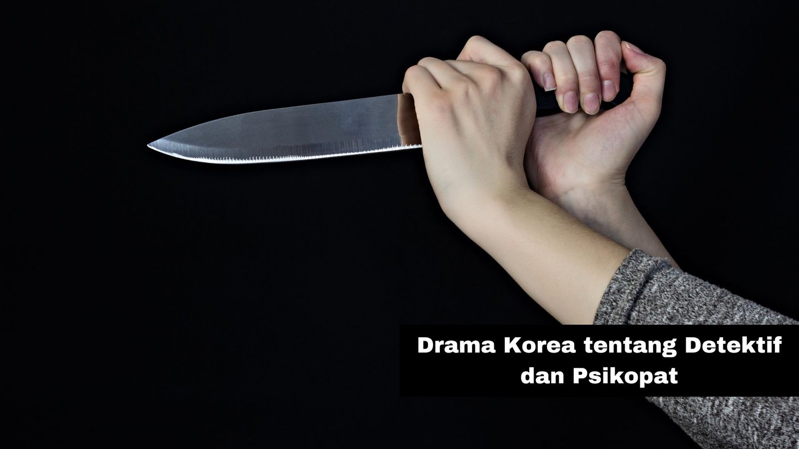 Drama Korea Tentang Detektif Dan Psikopat