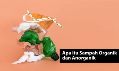 Apa itu Sampah Organik dan Anorganik