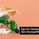 Apa itu Sampah Organik dan Anorganik