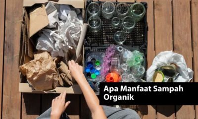 Apa Manfaat Sampah Organik