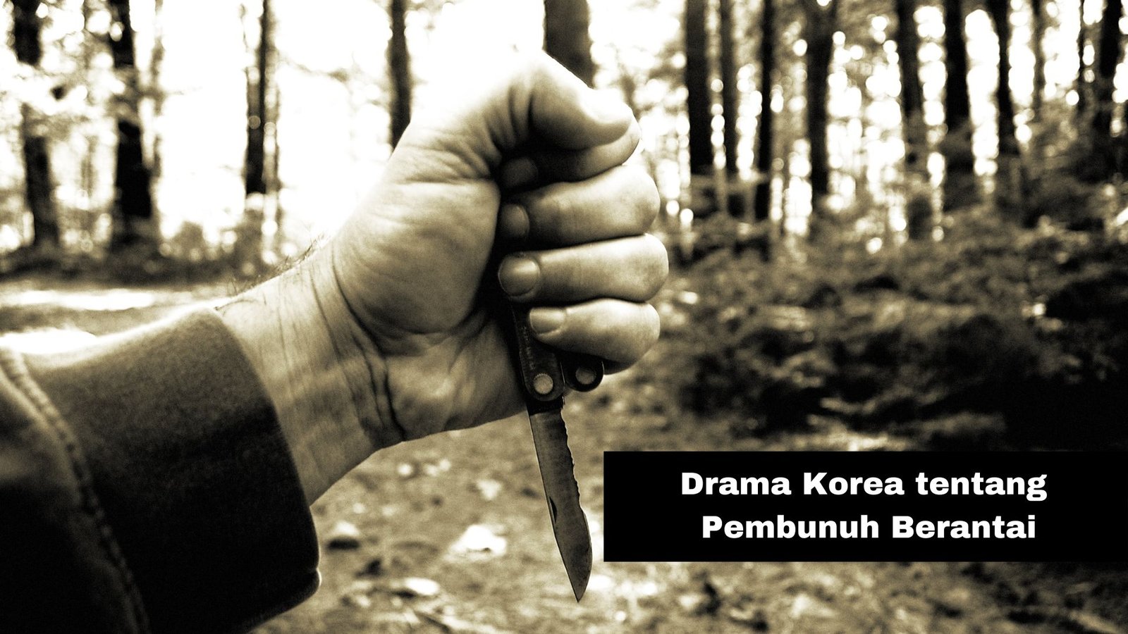 Drama Korea Tentang Pembunuhan Berantai